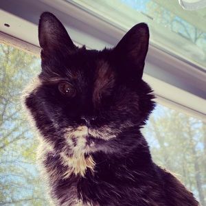 Meet your Posher, Kylie